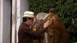Episodul 29