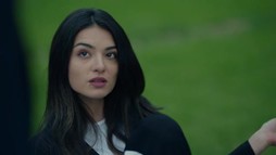 Episodul 229