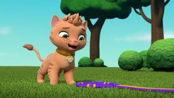 Episodul 25