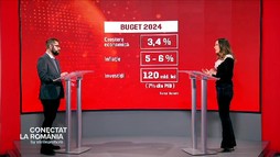 Banii românilor în 2024: Salariul minim încă nu e stabilit. De ce este bugetul contestat de oamenii de afaceri