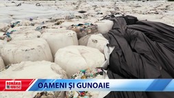 6 Noiembrie 2022
