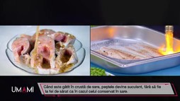 Ediția 15