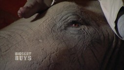 Episodul 6
