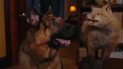 Episodul 13