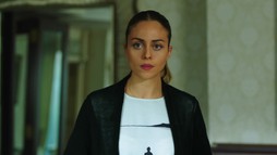 Episodul 65