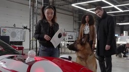 Episodul 8