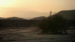 Episodul 27