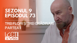 E73 - Trei flori și trei grădinari (partea II)
