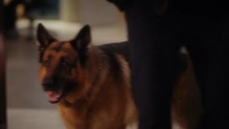 Episodul 13