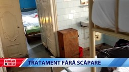 România, te iubesc! - 10 noiembrie 2019