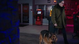 Episodul 14