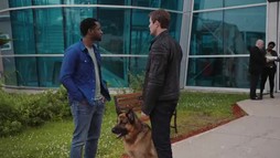 Episodul 6