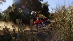 Episodul 14