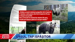 Ursul, ţap ispăşitor