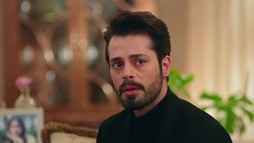 Episodul 63