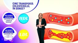 Colesterolul poate fi și bun. Care este proporția față de colesterolul rău