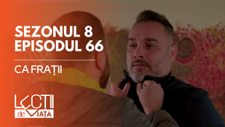 EP66 - Ca frații