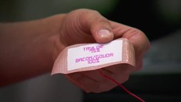 Episodul 1