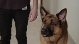 Episodul 13