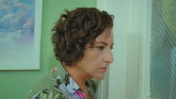 Episodul 22