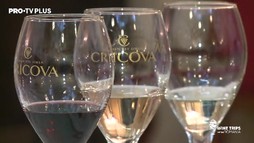 Wine Trips România S3E5 | La Cramele Cricova, complex subteran unic cu labirinturi imense și vinuri excelente, alături de Adriana Ochișanu