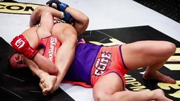 Legendele ale MMA-ului