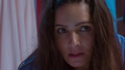 Episodul 505