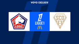 Lille - Angers
