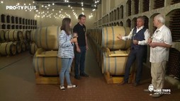 Wine Trips România S3E9 | Alături de compozitorul Eugen Doga, la Domeniile Davidescu. Locul unde vinul și muzica se întâlnesc.