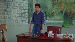 Episodul 282