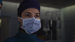 Episodul 12