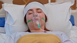 Episodul 312