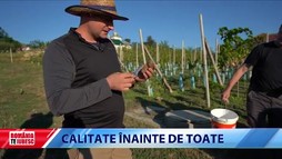Universul unei minți sclipitoare