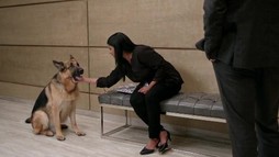 Episodul 4