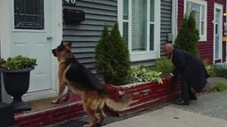 Episodul 5