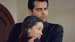 Episodul 231