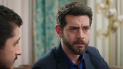 Episodul 250