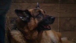 Episodul 11