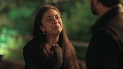 Episodul 337