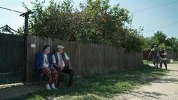 Episodul 16: Zen și mucegai