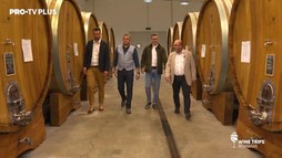 Wine Trips Romania – Ep.3 Povestea Cramei Viile Metamorfosis