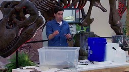 Episodul 24