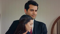 Episodul 230