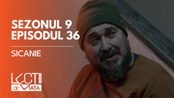 E36 - Șicăne
