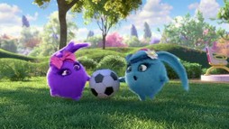 Episodul 20