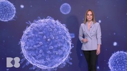 Episodul 8