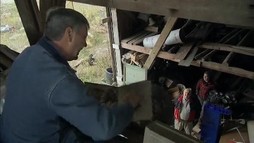 Episodul 18
