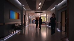 Episodul 20