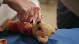 Episodul 9