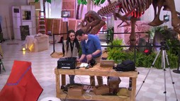 Episodul 19
